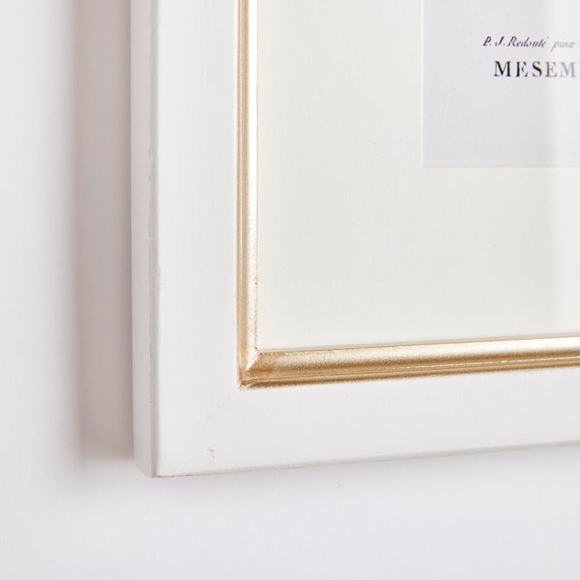 This set of coordinating flowers in blush tones is a traditional collection. Finished off with white wood frames with a...