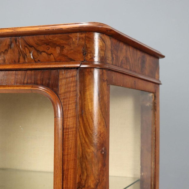 Umbertina Display Cabinet in Walnut For Sale - Image 6 of 11