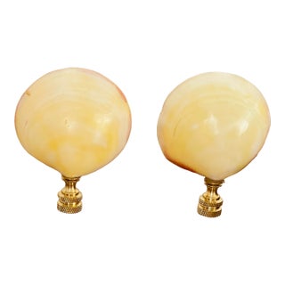 1970s Polished Clam Sea Shells Lamp Finials For Sale