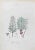 Lithograph hand watercolored. Belongs to the Series "Atlante di Botanica popolare ossia Illustrazione di Piante Notevoli...