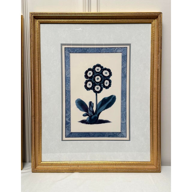 Late 20th Century Vintage Traditional Victorian Blue Floral Botanical Gold Framed Reproduction Prints, a Pair For Sale - Image 5 of 17