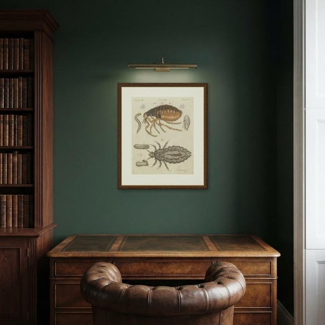 Bertuch, Flea and Louse Under the Microscope, 1805, Print For Sale - Image 11 of 12