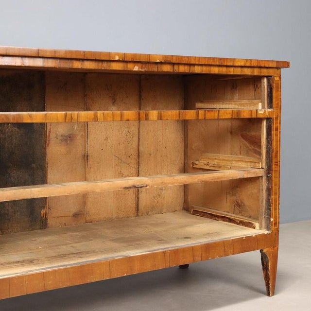 Neoclassical Walnut Chest of Drawers For Sale - Image 10 of 12