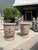 Pair of 31 Inch French Anduze Planters With Antique Patine, Fleur De Lys For Sale In Dallas - Image 6 of 12