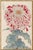 Vintage Red & White Chrysanthemum by Hasegawa, Japanese Botanical Art Print For Sale In Buffalo - Image 6 of 10