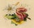 An original mid-19th-century watercolour painting – James Holland OWS, Flower Posy with Tulip & Clematis.A beautiful...