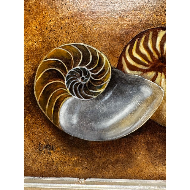 Camel Vintage Coastal Nautilus Shells Realism Original Oil Framed Painting in Silver, Brown, Camel For Sale - Image 8 of 12