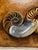 Camel Vintage Coastal Nautilus Shells Realism Original Oil Framed Painting in Silver, Brown, Camel For Sale - Image 8 of 12