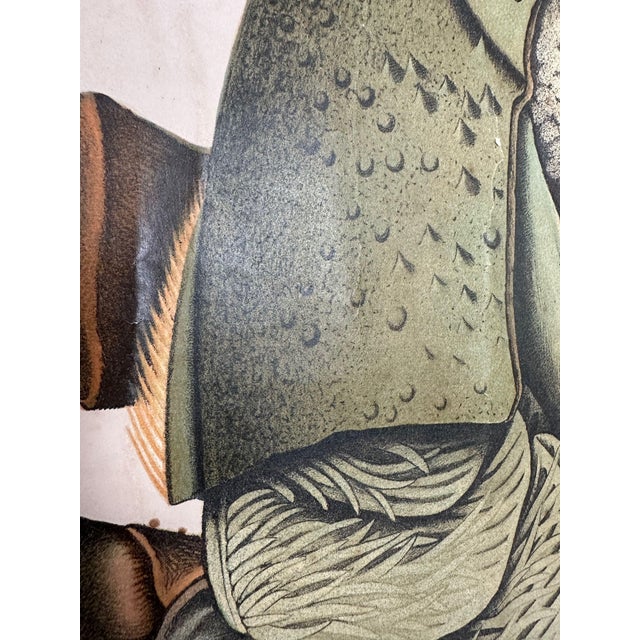 Vintage Linen School Map of The Lobster, 1940s For Sale - Image 12 of 14
