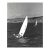 1960s Competitve Sailboats Photograph For Sale