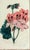 Early 19th Century Antique Botanical Prints of Geranium by Robert Sweet For Sale - Image 5 of 18