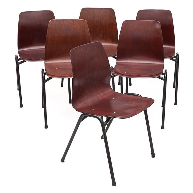 Vintage Chairs from Pagholz Flötotto, 1950s, Set of 6 For Sale - Image 13 of 13
