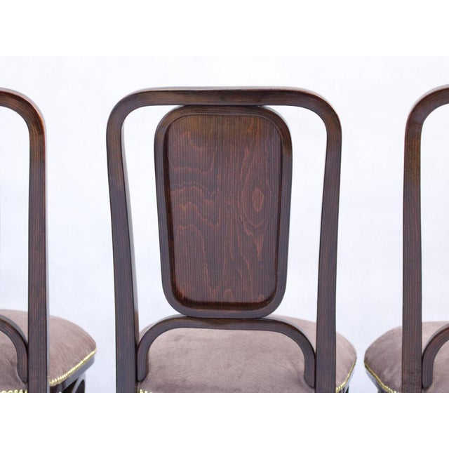 Art Noveau Bentwood Chairs from Thonet, 1905, Set of 4 For Sale - Image 10 of 11