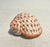 Mid 20th Century MCM Coastal Assortment of Porcelain Andrea by Sadek Fishnet Figurines -a Seven Piece Set For Sale - Image 5 of 10