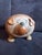 Ceramic Bulldog Figurine by Lisa Larson for Gustavsberg, 1970s For Sale - Image 3 of 6