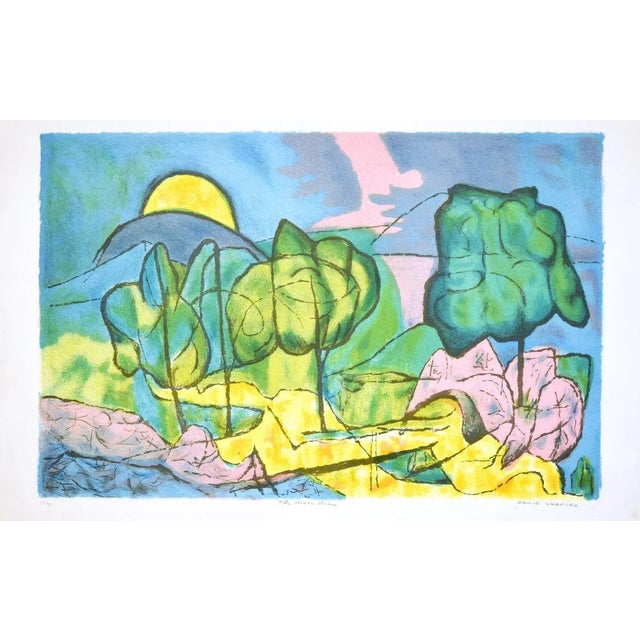 Colorful Landscape - Original Lithograph by David Shapiro - 1980s 1980s For Sale - Image 3 of 3