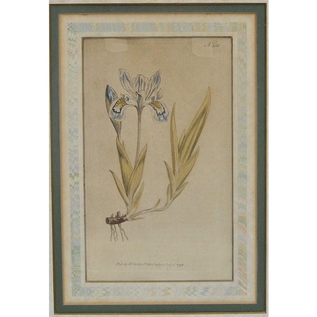 Late 18th Century William Curtis Botanical Engravings, 1798, Pair in Custom Gilt Frames For Sale In New York - Image 6 of 9