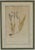 Late 18th Century William Curtis Botanical Engravings, 1798, Pair in Custom Gilt Frames For Sale In New York - Image 6 of 9