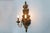 Carved Florentine Wall Lamps with Oak Leaves and Acorns, 1970, Set of 2 For Sale - Image 6 of 12