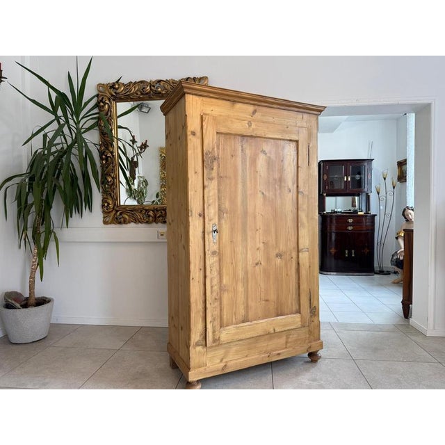 Wood Biedermeier Cabinet in Natural Wood For Sale - Image 7 of 11