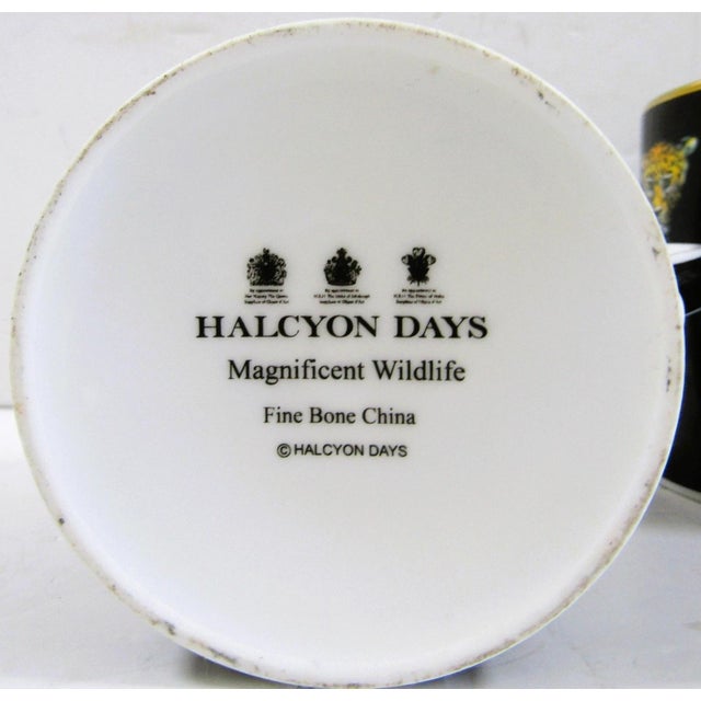 1980s Halcyon Days Magnificent Wildlife Two Tiger and Two Twin Leopard Mugs - Set of Four For Sale - Image 12 of 18