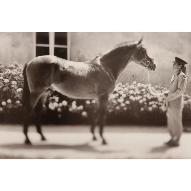 American Ezekiel's Horse Keith Carter Photographs For Sale - Image 3 of 6