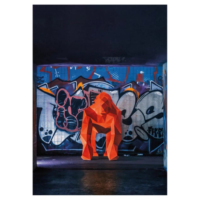 Liam Hopkins, Subway Gorilla, Photographic Print For Sale