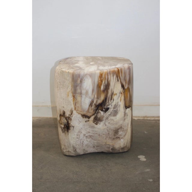 Petrified Stool - Single For Sale - Image 15 of 17