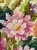 Vintage Round Framed Floral Hand-Stitched Needlepoint Wall Art For Sale - Image 4 of 6