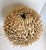 Wood Vintage Organic Modern Sculptural Sea Urchin Wood Table Lamp For Sale - Image 7 of 10