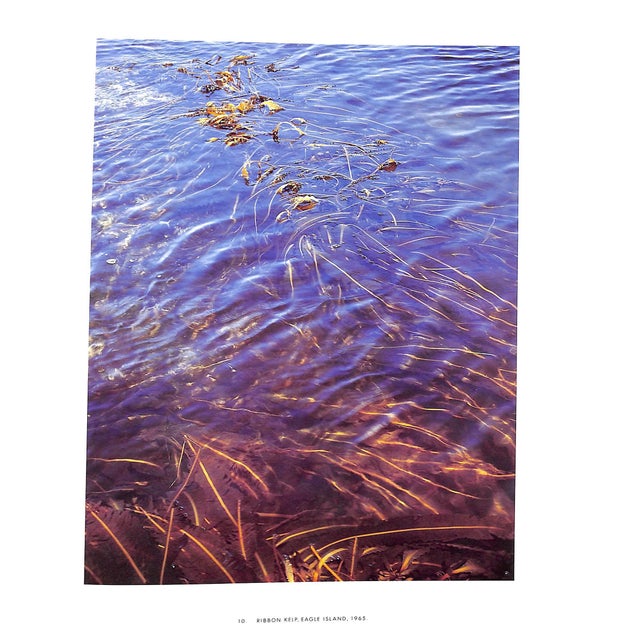 Paper "Maine" 1986 Porter, Eliot For Sale - Image 7 of 11