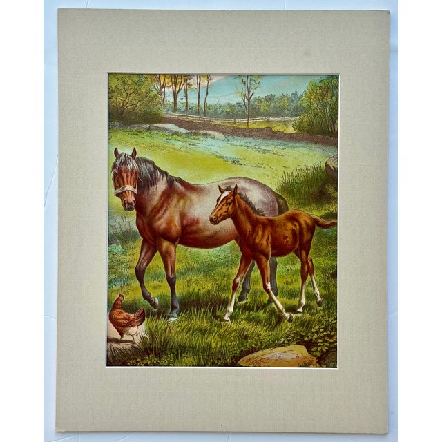 Farmhouse Mid 20th Century Horse & Colt Original Chromolithograph Limited Edition by Artist Russ Johnson For Sale - Image 3 of 3