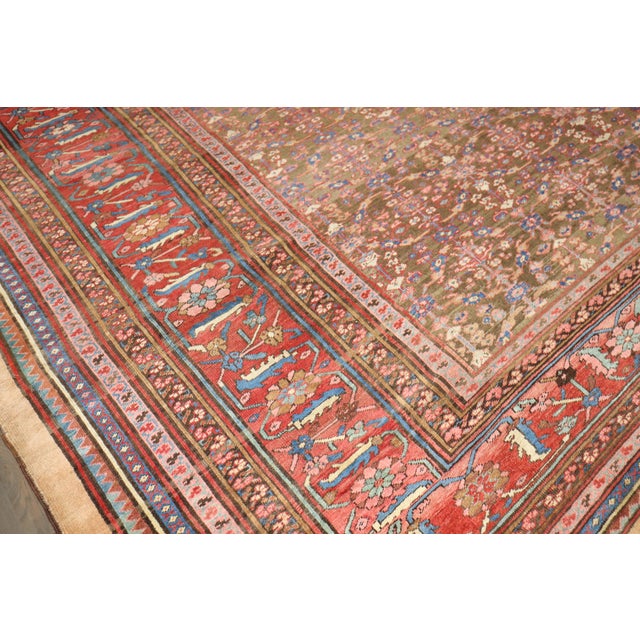 Camel 19th Century Bakshaish Square Rug, 12' X 13'7'' For Sale - Image 8 of 15