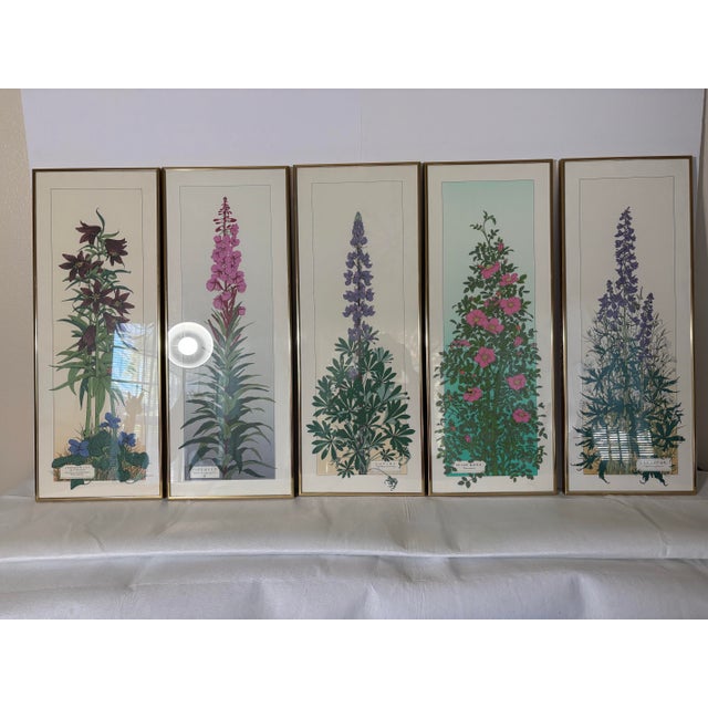 Printmaking Materials Vintage 1980s Andie Thrams Framed Tall Botanical Wildflowers Lithographs-Set of 5 For Sale - Image 7 of 7