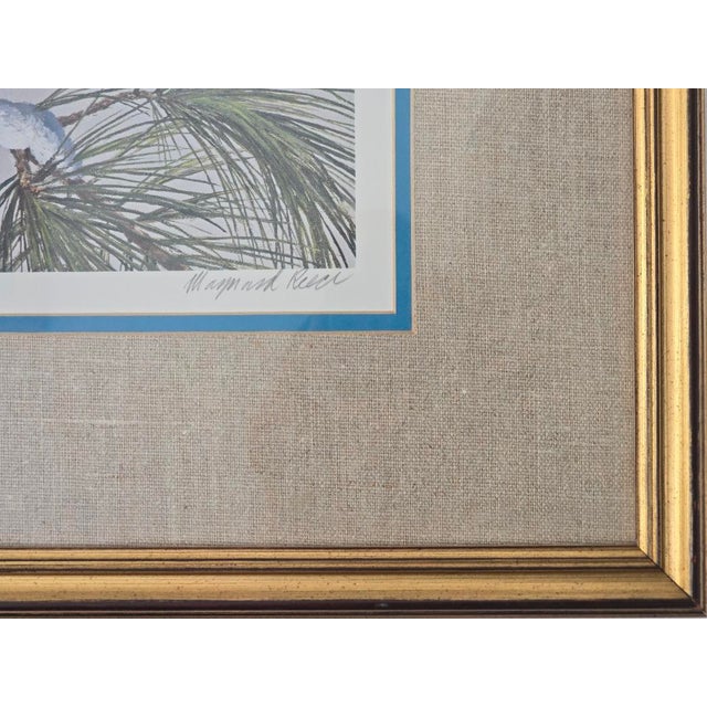 23x 19 1986 White Pine Blue Jay Signed Maynard Reece Print with brief description document by the artist about his...