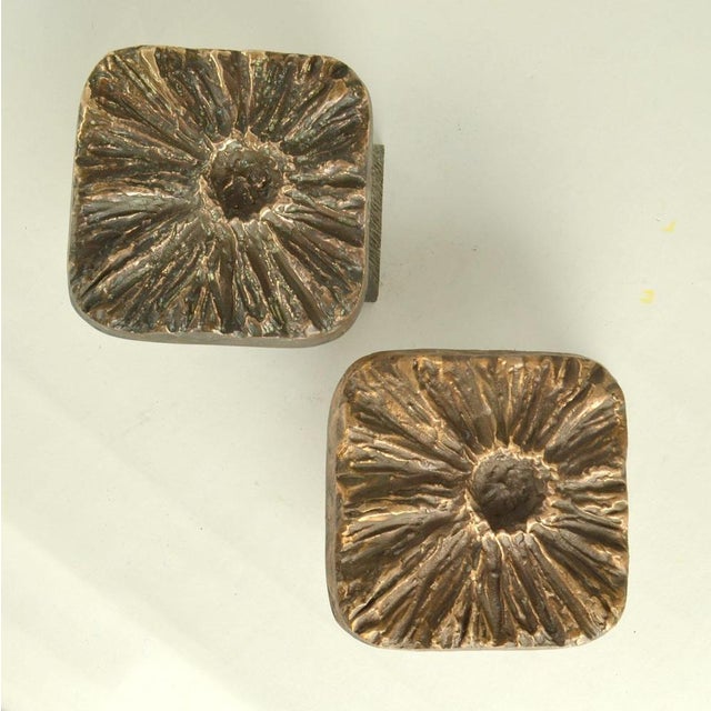 Ppair of push and pull bronze door handles with organic expressionist flower relief for double doors or a single door on...