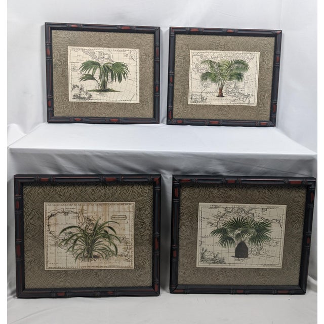 Late 20th Century Set of 4 Framed Green Botanical Palm Prints on Antique Maps – Ralph Lauren Style For Sale - Image 5 of 14