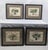 Late 20th Century Set of 4 Framed Green Botanical Palm Prints on Antique Maps – Ralph Lauren Style For Sale - Image 5 of 14