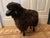 Claude Lalanne Lalanne Style Carved Wood Black Sheep Sculpture or Stool For Sale - Image 4 of 6