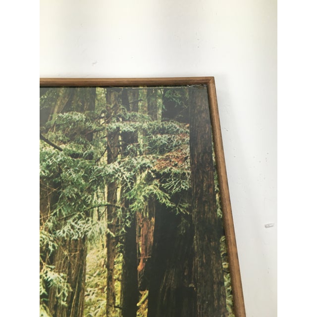 70s Boho Forest Photograph Wall Hanging For Sale - Image 6 of 8