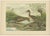 Reiss & J.K., Illustrations of Ducks: Goldeneye, Scaup, Teal and Eider, 1890, Prints, Set of 4 For Sale - Image 4 of 10