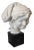 Fisherboy Sculpture Affter 1857 Carpeaux "The Laughing Neopolitan" For Sale