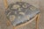 Italian Neoclassical Dining Room Table & Chairs Set For Sale - Image 15 of 18