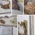 Late 20th Century Contemporary Kinder Harris Large Scale Mixed Media Art Collage Signed & Titled Gold Rush For Sale - Image 15 of 18