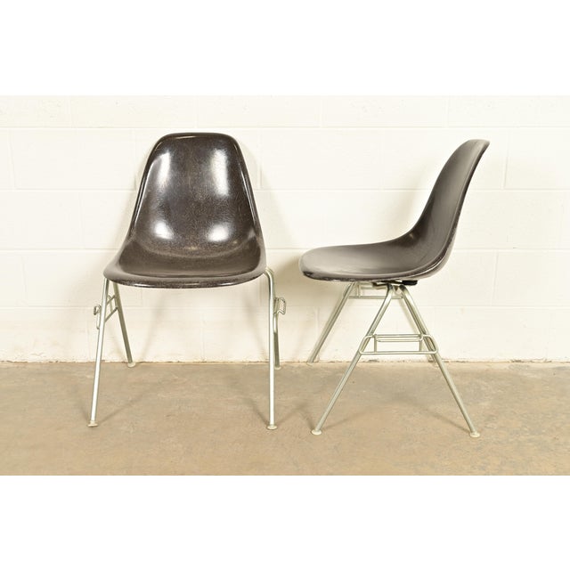 Charles & Ray Eames for Herman Miller DSS Seal Brown Stacking Shell Chairs | Set of Four For Sale - Image 11 of 16