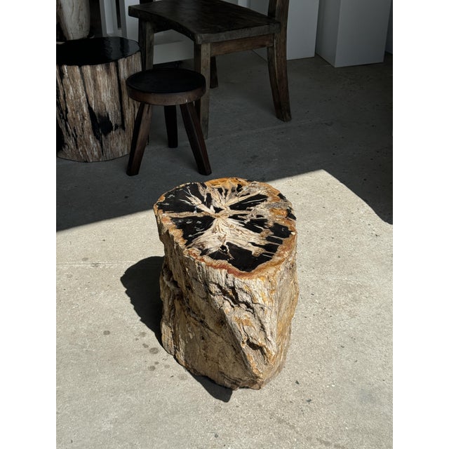 Wood Large Side Table in Multicolored Rainbow Petrified Wood For Sale - Image 7 of 18