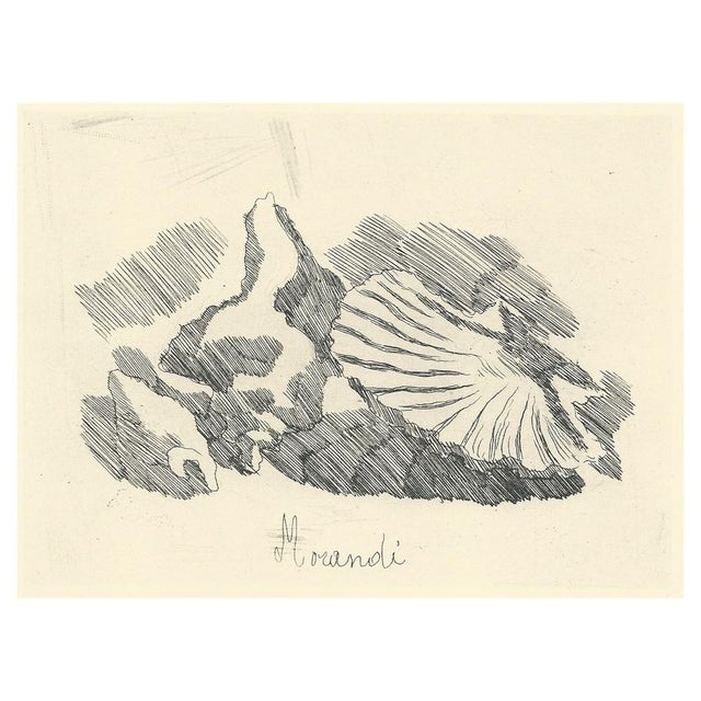 1950s Giorgio Morandi, Shell Valve, 1957, Lithograph For Sale - Image 5 of 5