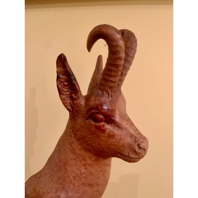 Mid 20th Century Large Black Forest Wooden Chamois Carving For Sale In Baltimore - Image 6 of 13