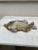 French Majolica Wall Fish Vallauris, Circa 1970 For Sale - Image 4 of 7