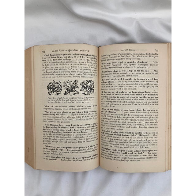 Paper 1947. 10,000 Garden Questions For Sale - Image 7 of 8